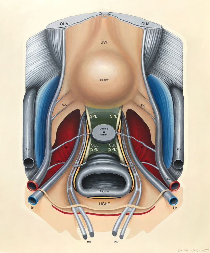 HEAD